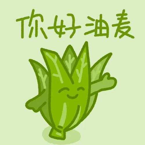 你好油麦