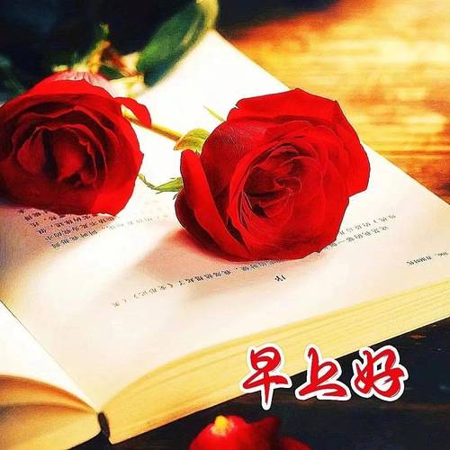 早上好