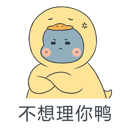 不想理你鸭