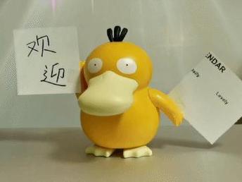 观 迎