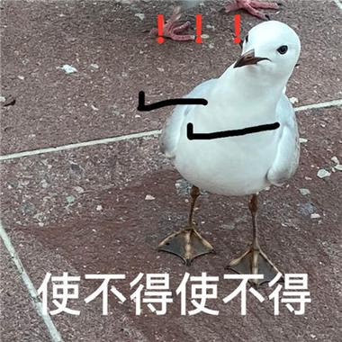 使不得使不得