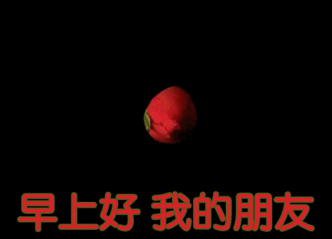早上好我的朋友