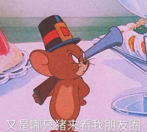 又是哪只猪来看我朋友圈