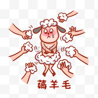 薄羊毛