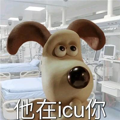 他在icu你