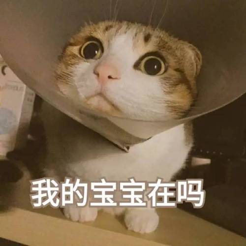 我的宝宝在吗