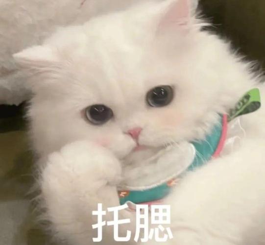 托腮