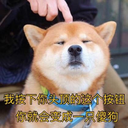 我按下你头顶的这个按钮 你就会变成一只傻狗