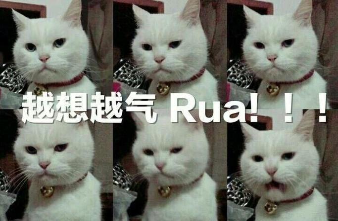 越想越气Rua！！！