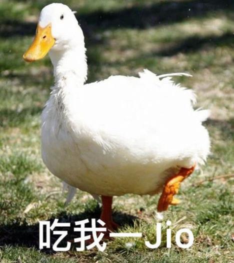 吃我一Jio
