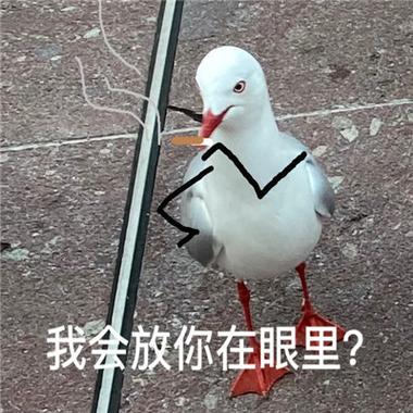 我会放你在眼里？