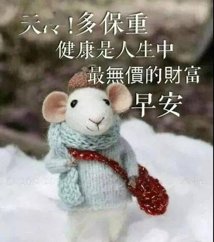天！多保重 健康是人生中 最無價的财富 早安