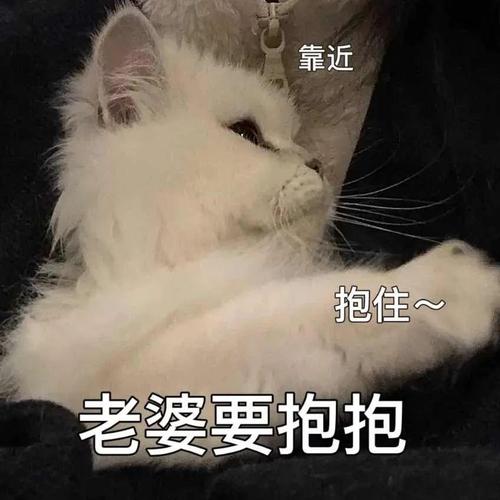 靠近 抱住~ 老婆要抱抱