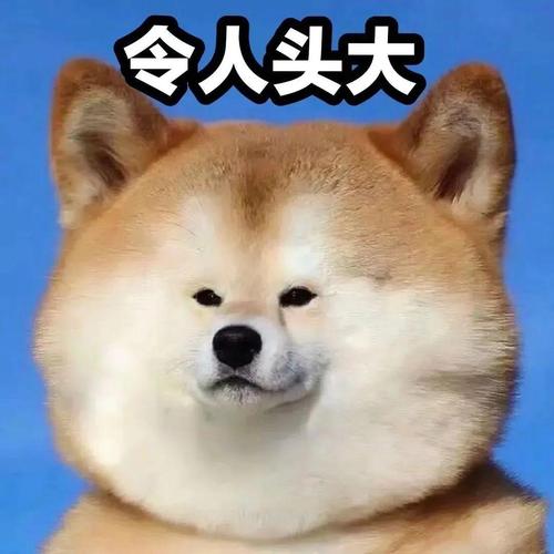 令人头大