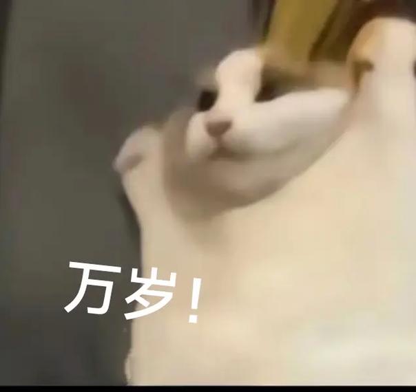 万岁！