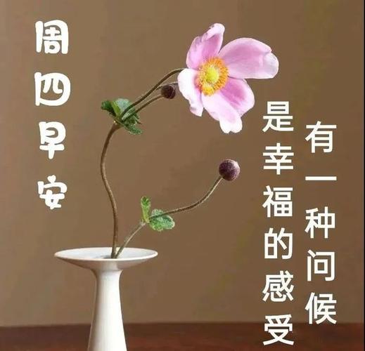 周四早安 是幸福的感受 有一种问候