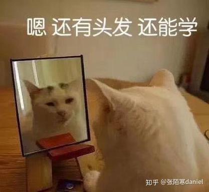 嗯还有头发还能学 知乎@张陌寒daniel