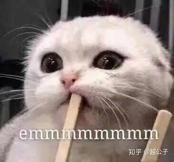 emmmmmmmm 知乎@越公子