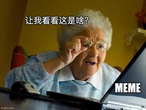 让我看看这是啥？ MEME imgfllp