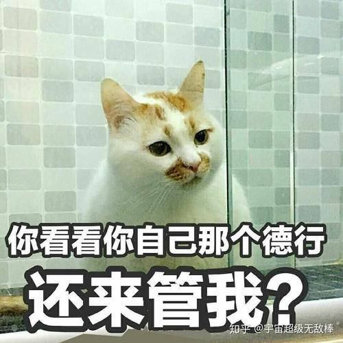 你看看你自己那个德行 还来管我？ 知乎@宇宙超级无敌棒