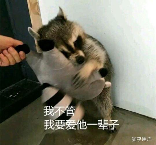 我不管 我要爱他一辈子 知乎用户