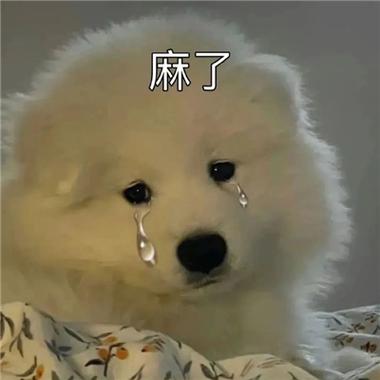 麻了