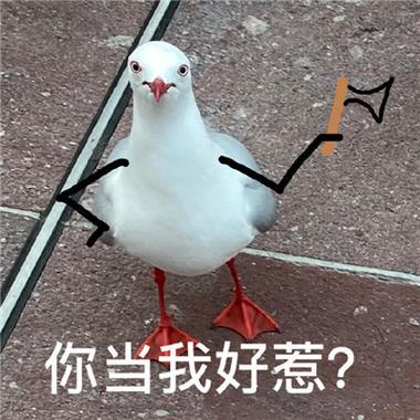你当我好惹？