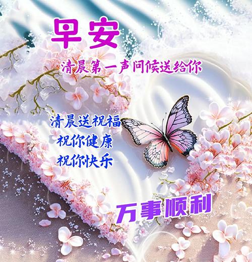 早安 清晨第一声问候送给你 清晨送祝福 祝你健康 祝你快乐 万事顺利