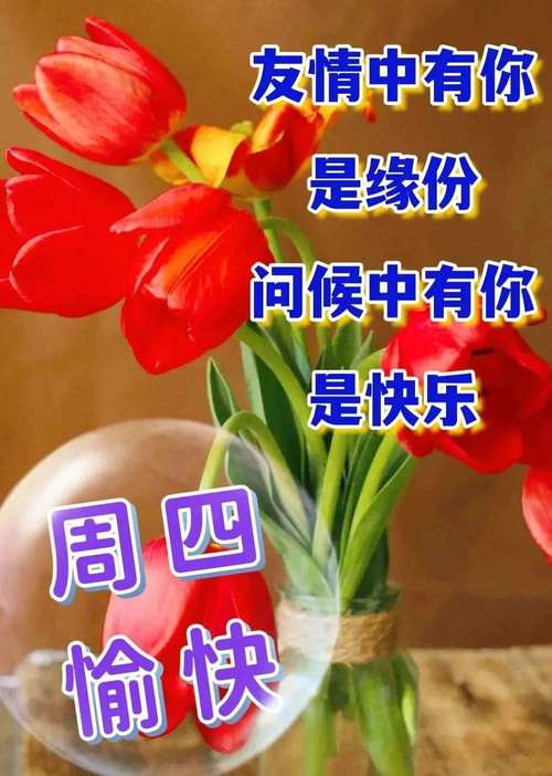 友情中有你 是缘份 问候中有你 是快乐 周四 愉快