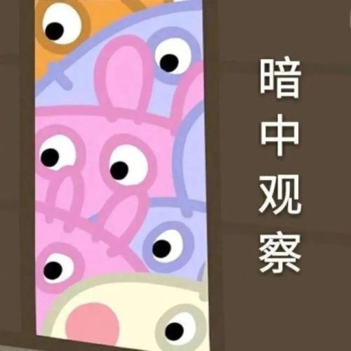 暗中观察