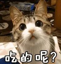 吃的呢？