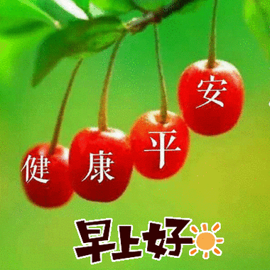 安 平 康 健 早上好