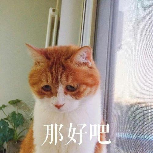 那好吧