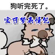 狗听完死了 宝可梦表情包