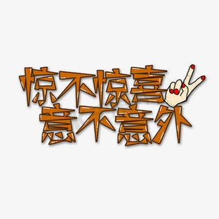 惊不惊喜 意不意外