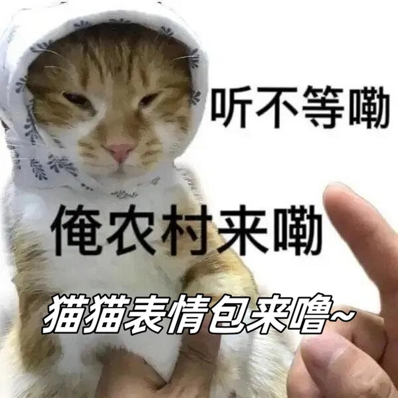 听不等嘞 俺农村来嘞 猫猫表情包来噜~