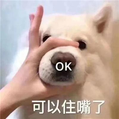 OK 可以住嘴了