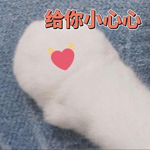 给你小心心