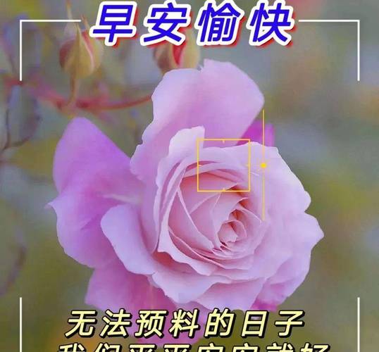 早安愉快 无法预料的日子