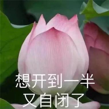 想开到一半 又自闭了