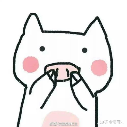知乎@晴雨染