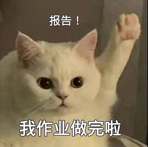 报告！ 我作业做完啦