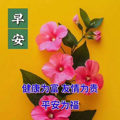 早安 健康为富友情为贵 平安为福
