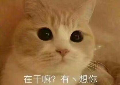 在干嘛？有、想你