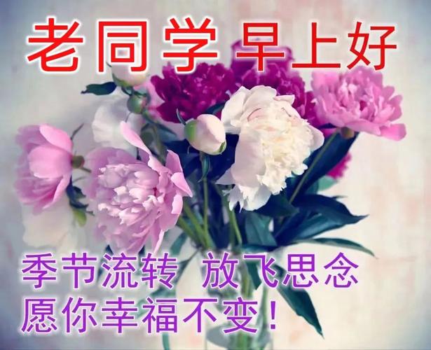 老同学早上好 季节流转 放飞思念 愿你幸福不变！