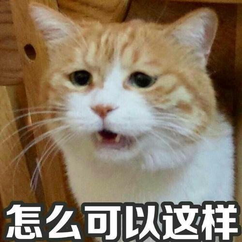 怎么可以这样