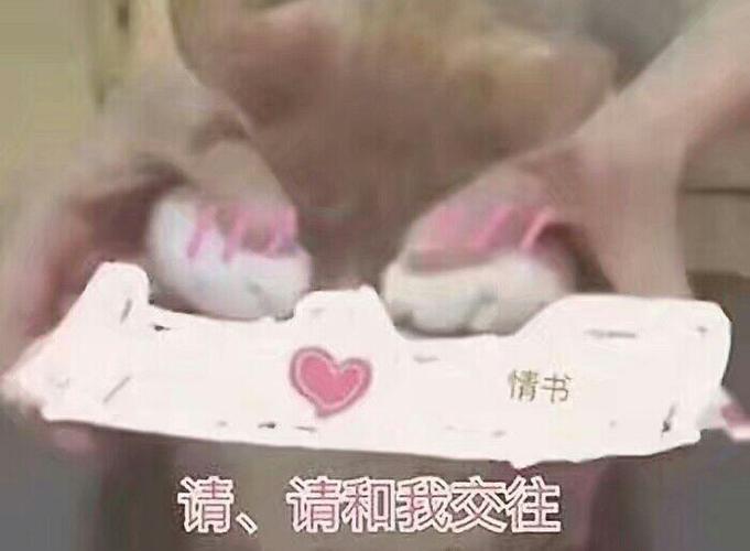 情书 请、请和我交往