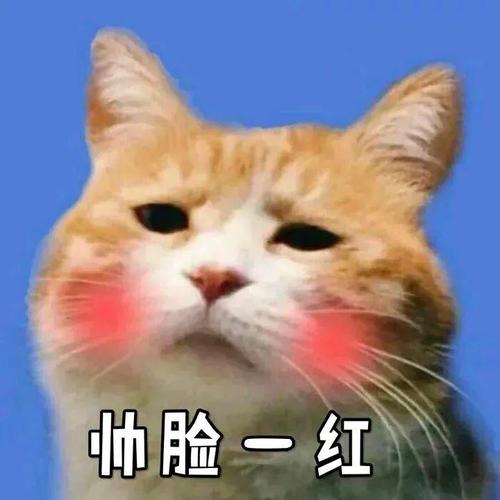帅脸一红