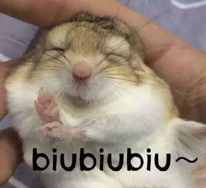 biubiubiu~