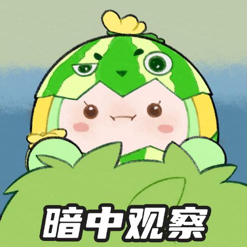 暗中观察